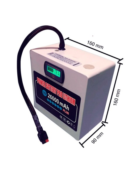 Batería Power Pro Lithium Plus