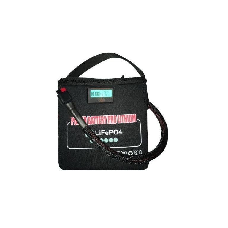 Carro Electrico Bateria de Litio