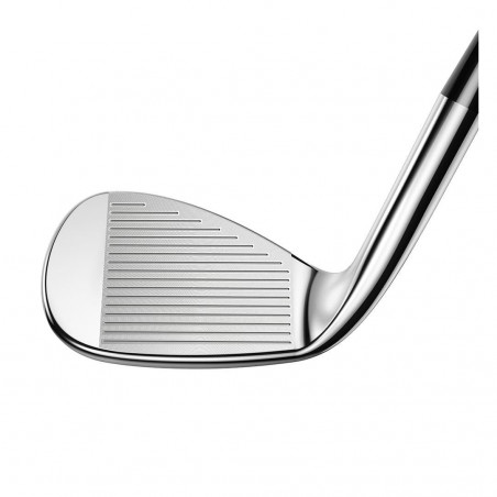 Wedge King Cobra Snakebite Versatile
