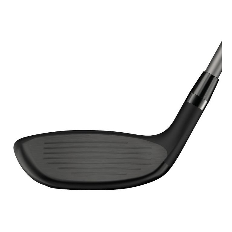 Hibrido Wilson Dynapower Lady