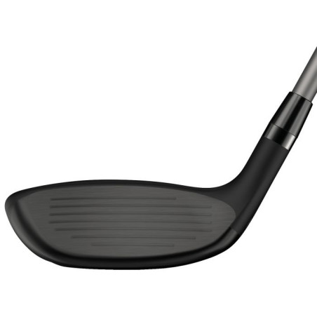 Hibrido Wilson Dynapower Lady