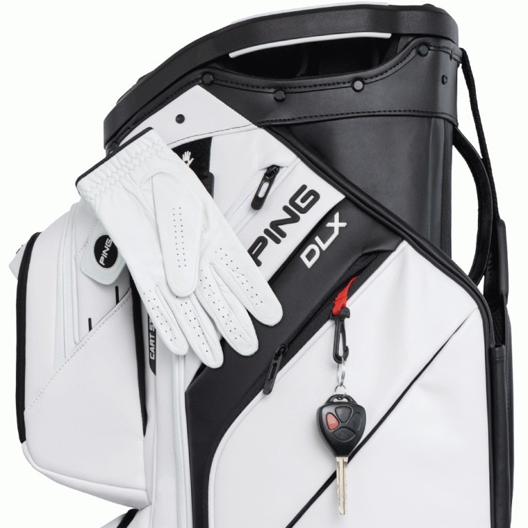 Bolsa Ping DLX 244 Double Strap Gris/Azul/Blanco Modelo 2025